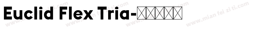 Euclid Flex Tria字体转换